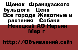 Щенок  Французского бульдога › Цена ­ 35 000 - Все города Животные и растения » Собаки   . Ненецкий АО,Нарьян-Мар г.